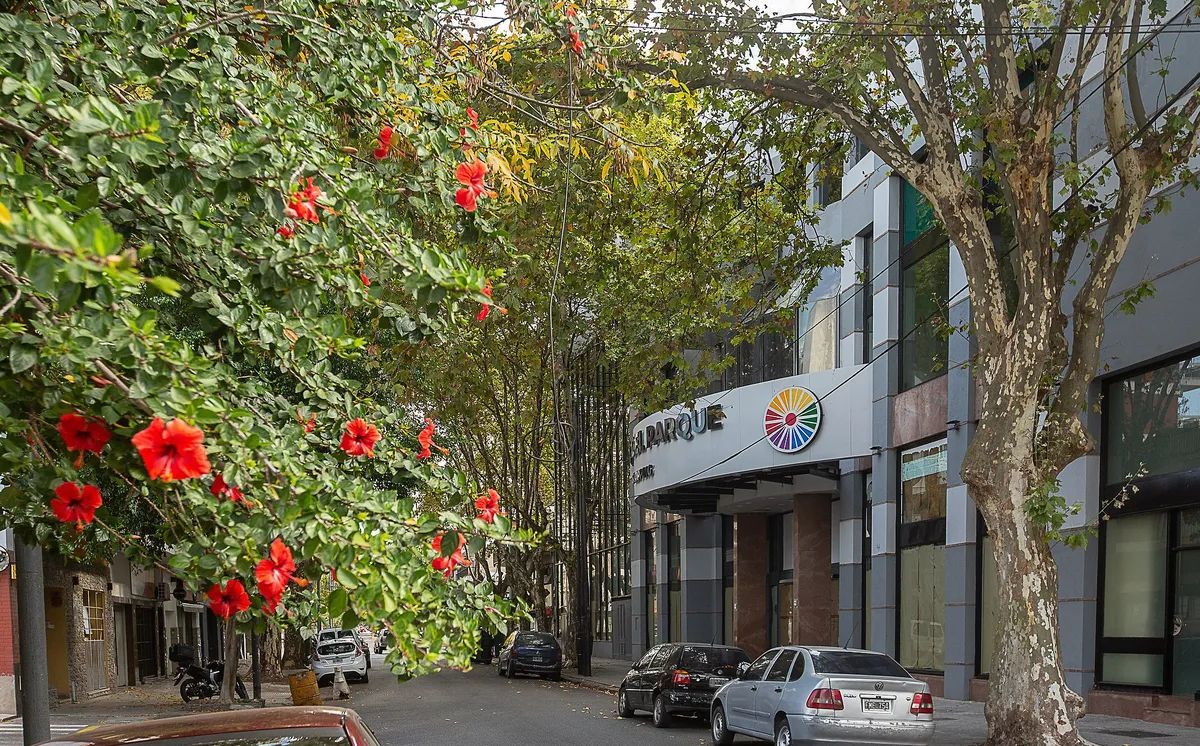 En los contenedores al 50% no es recomendable combinar una apertura destacada con una simple